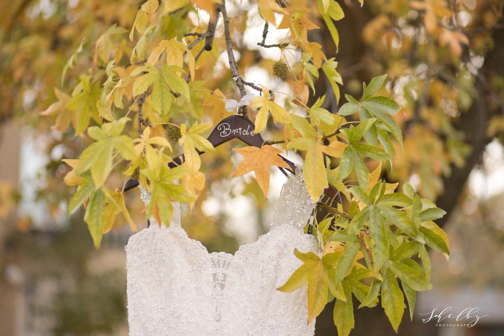 wedding dress hung in tree